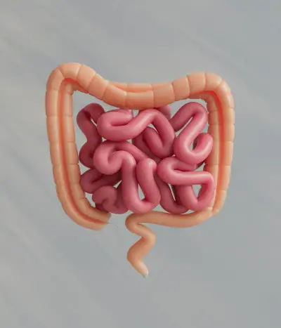 Gastroenterologia