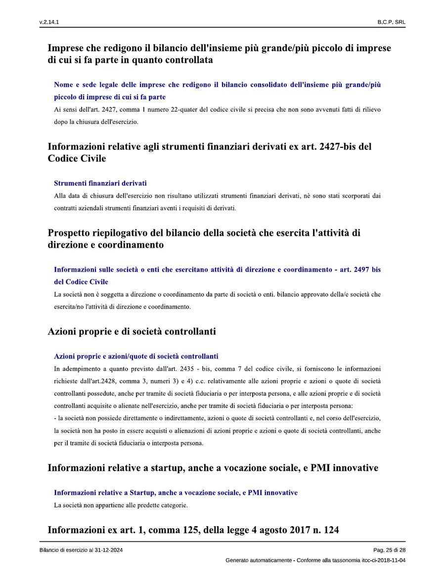Bilancio — pagina 25 di 28