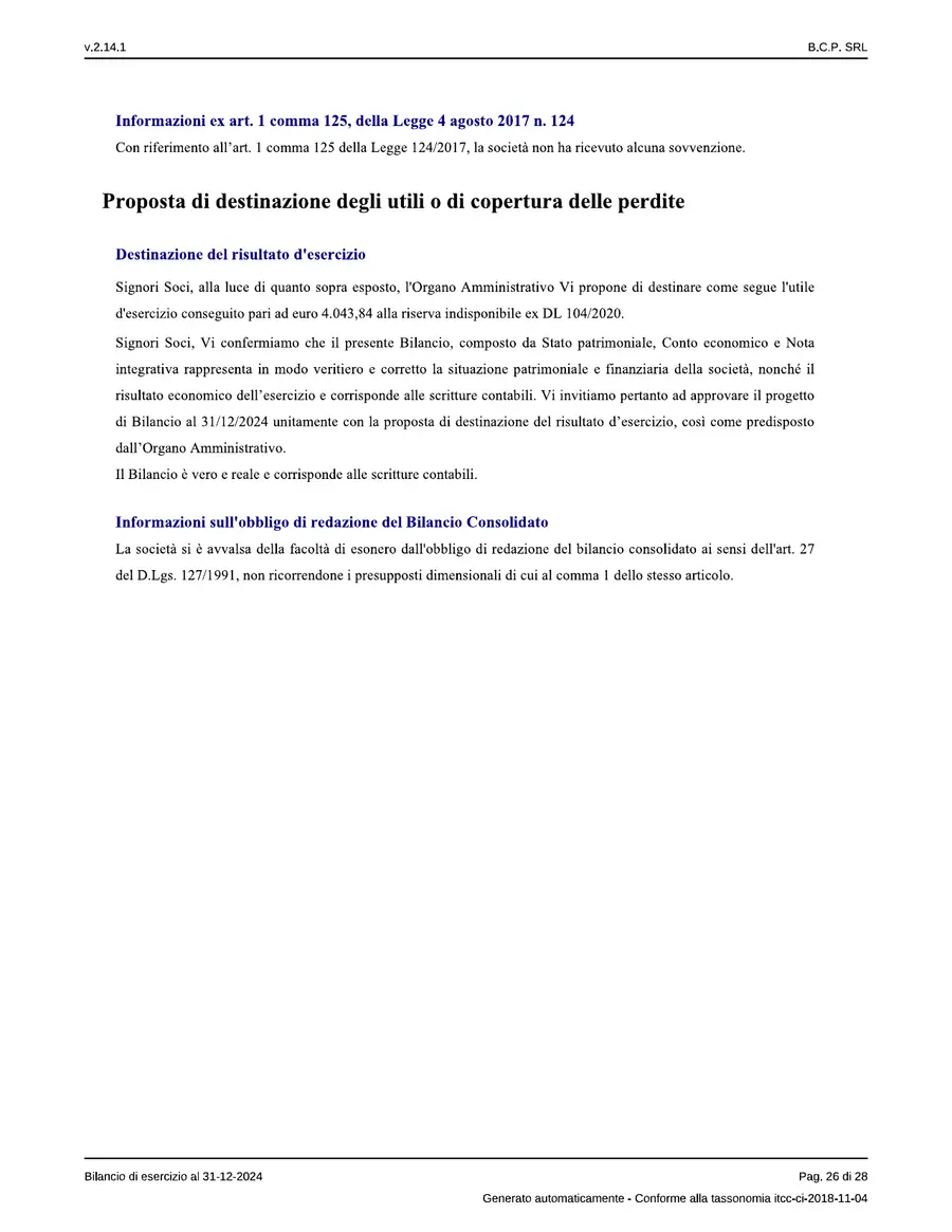 Bilancio — pagina 26 di 28